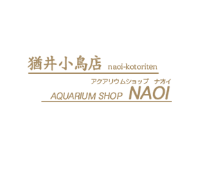 東京都世田谷区にある小鳥店です。小鳥・金魚・熱帯魚を取り扱っています。｜猶井小鳥店